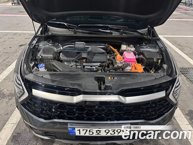 Kia Гибрид Спортейджа 5-го поколения. 2023