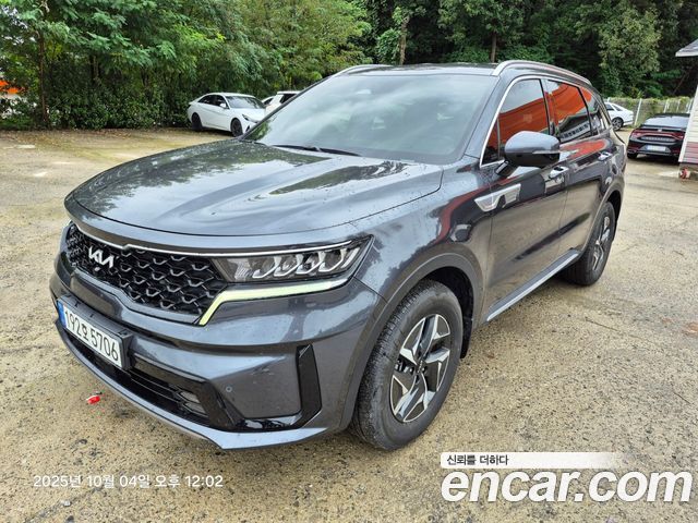Kia Соренто 4 поколения. 2023
