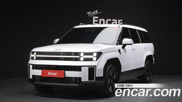 Hyundai Santa Fe (MX5) 2024